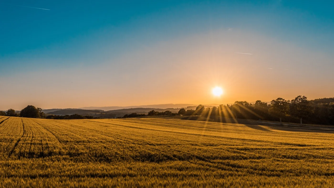 Agricultural fields glowing in warm evening light
